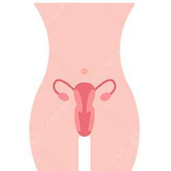 Hymenoplasty Surgery