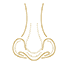 Rhinoplasty Surgery